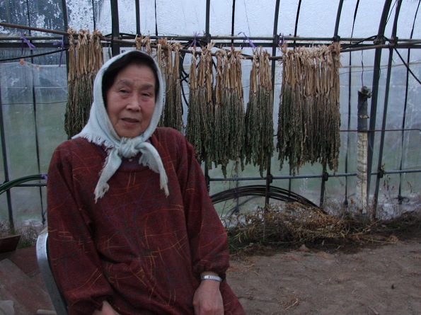 №019〜小真木大根〜　小真木大根農家　齋藤小枝(さえ)さん