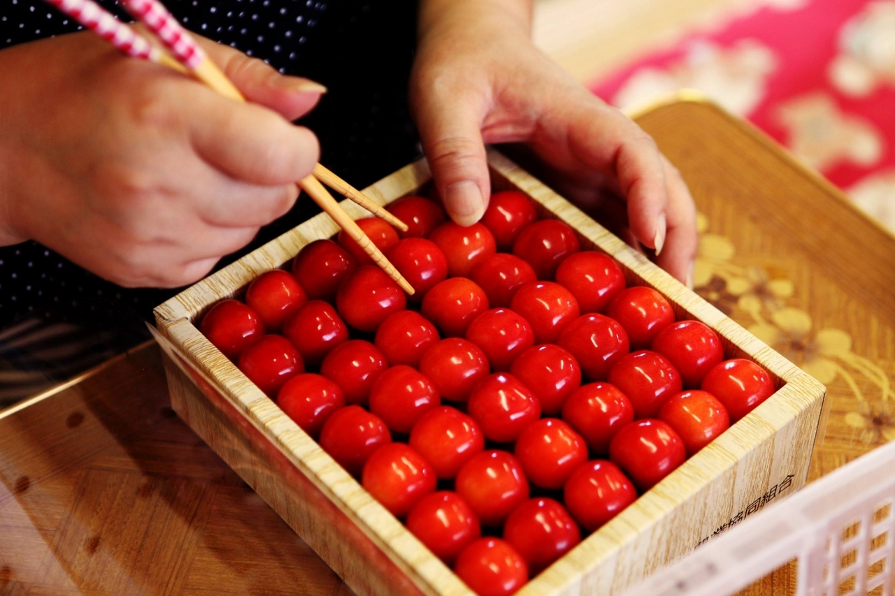 連休割★1台のみ★★ポータラップ 林業　SSサイズ★ 連休割☆1台のみポータラップ 林業 SSサイズ☆ 連休割☆