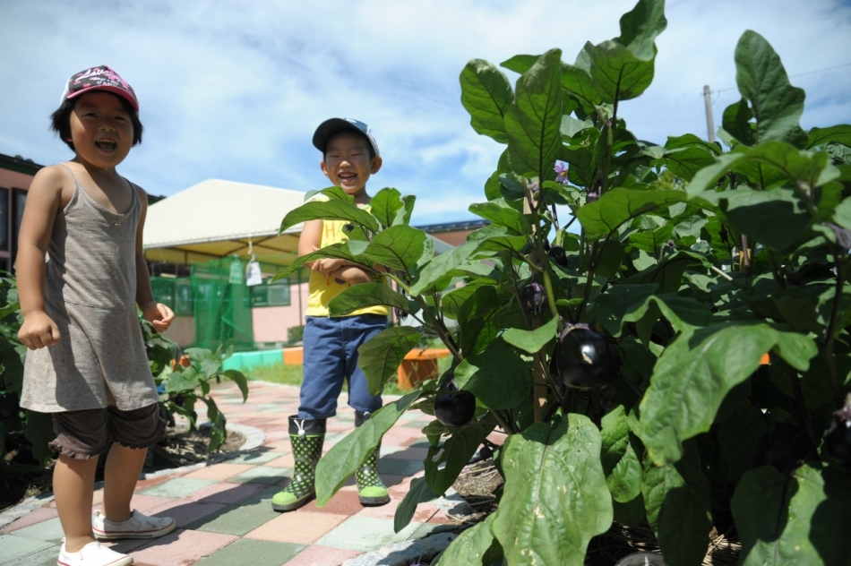 №046〜波渡ナス〜 小堅保育園のみなさん | 食文化プロジェクト-鶴岡の