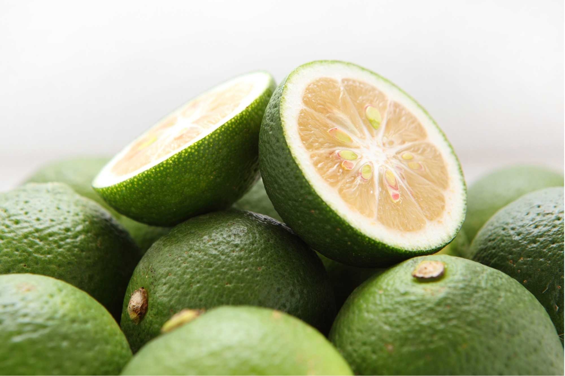 カボスつかみ取り